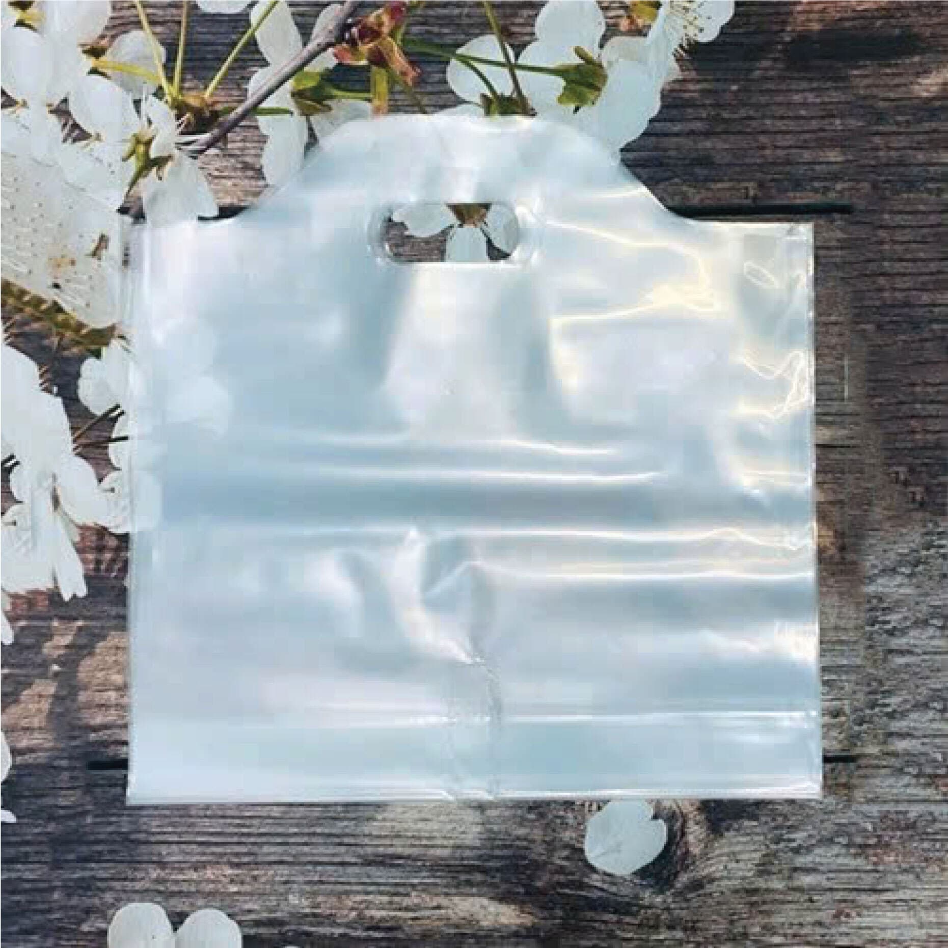 Double Cup Carrier Bag