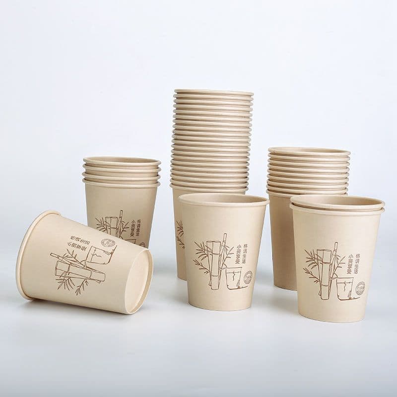 Paper Cups vs. Plastic Cups: Which One is Right for Your Business?