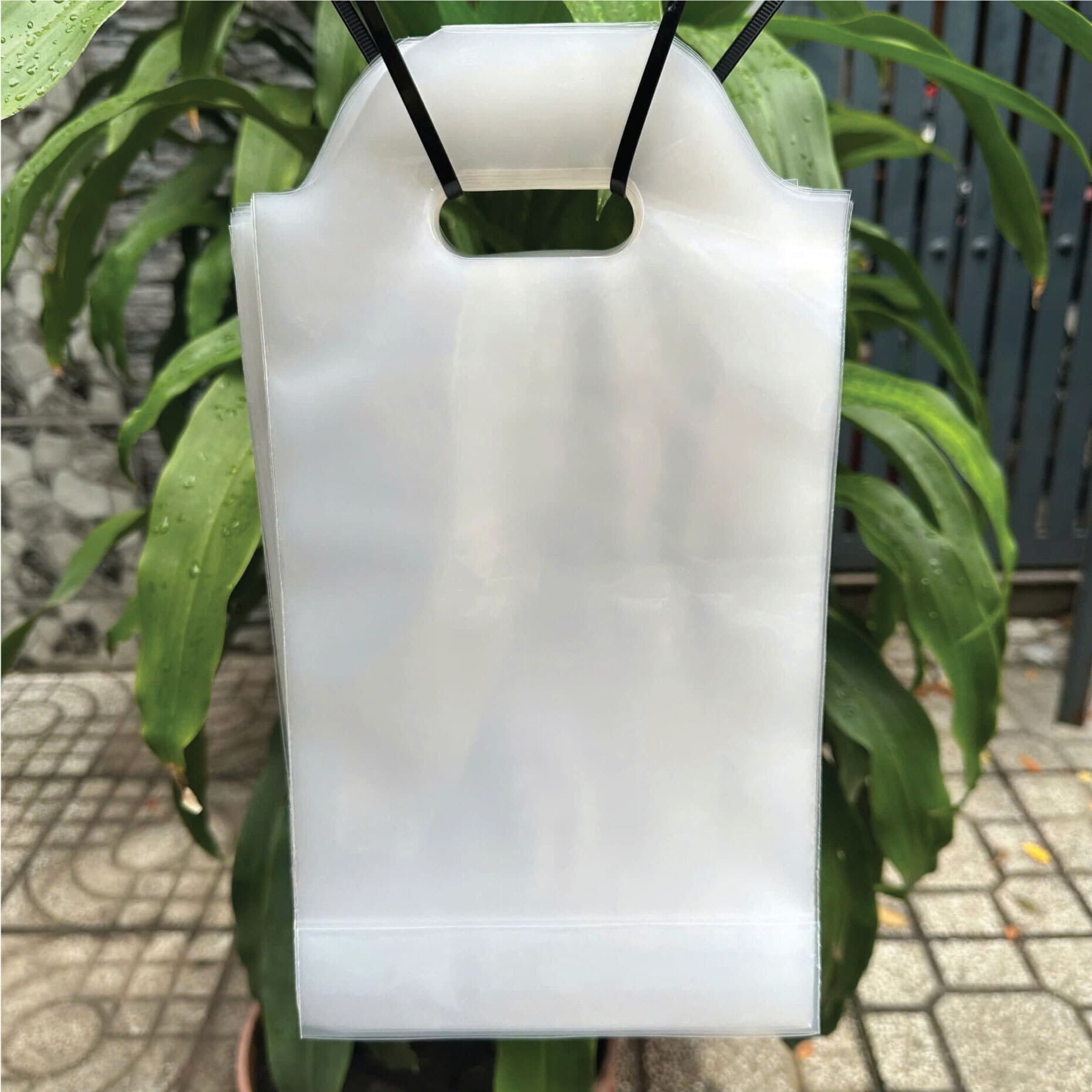 Single Cup Carrier Bag